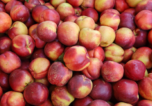 Nectarines