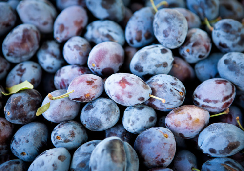 Plums