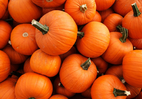 Pumpkin Power: