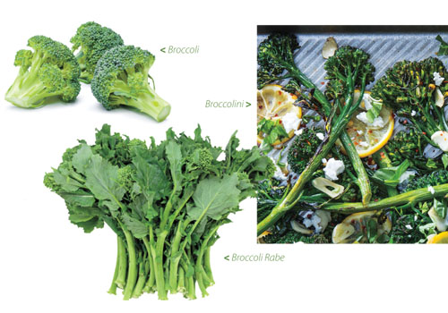 What’s the Difference between Broccoli, Broccolini and Broccoli Rabe? 