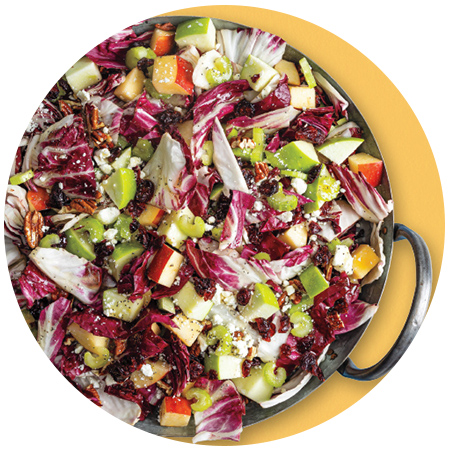 Apple-Cranberry Salad with Poppy Seed Dressing
